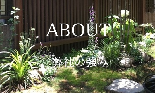 Ｈ様邸夜のアプローチ .jpg